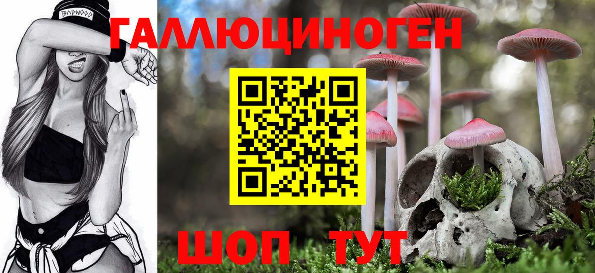 Псилоцибиновые грибы мухоморы  Псилоцибиновые грибы Psilocybe  Ялуторовск  Вход с VPN 
