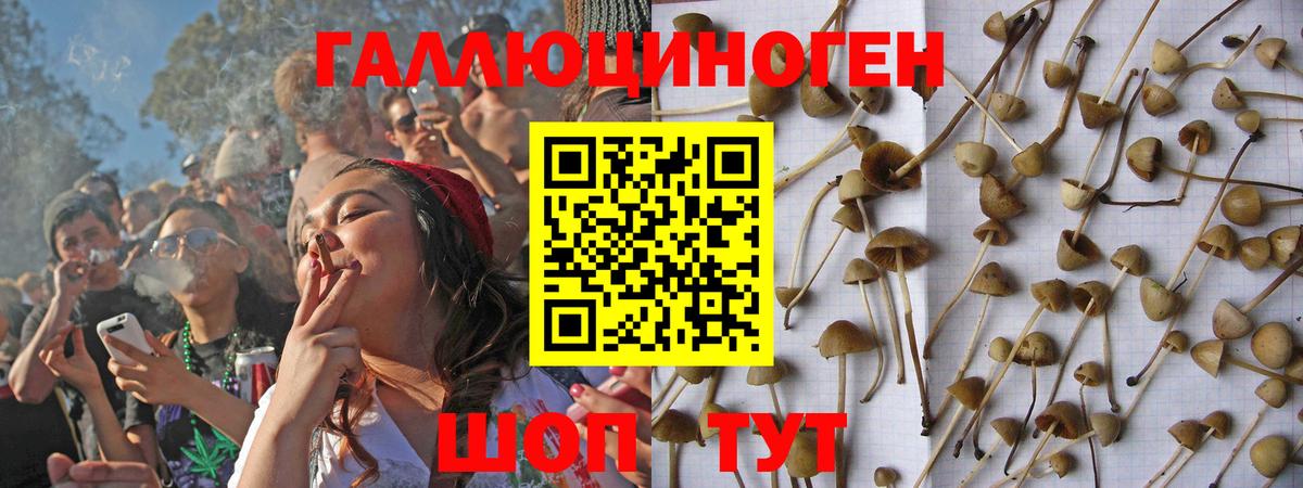 Галлюциногенные грибы мухоморы Ялуторовск