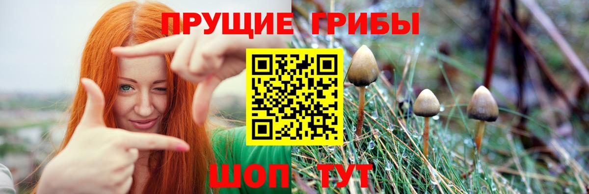 Галлюциногенные грибы Psilocybine cubensis  Ялуторовск  Галлюциногенные грибы мухоморы 